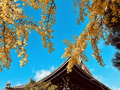-清凉寺