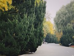 -石家庄市植物园