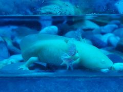 -常州海昌海洋探索馆