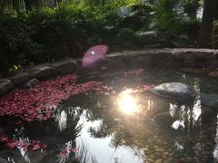 -厦门日月谷温泉渡假村