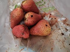 -雪儿钱局泡菜