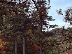 -玉渡山自然风景区