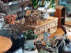 -北马山庄植趣咖啡