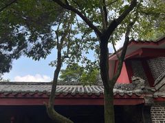 -老君山