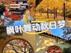 -拙政园