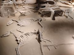 -洛阳周王城天子驾六博物馆