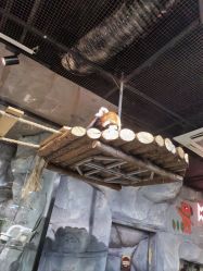 -Zoolung Zoolung动物主题公园(海信广场店)