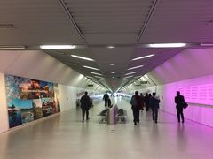 -华盛顿杜勒斯国际机场