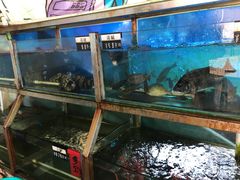 水产区-景隆乳鸽王海鲜餐厅(溪涌店)
