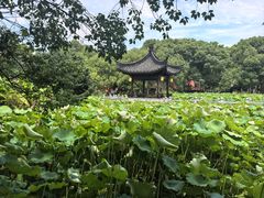 -丝绸小镇荻港古村