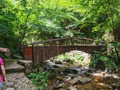 -青峰峡国家森林公园