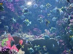 -海合安青岛极地海洋公园