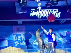-顺德南宏海立方海洋公园