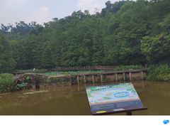 -深圳仙湖植物园