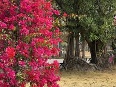 -赤坎·广东华侨国际旅游度假区