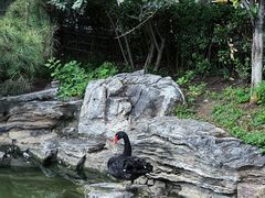-三里河公园