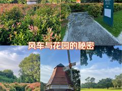 -东莞植物园