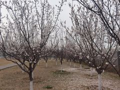 -太阳宫公园