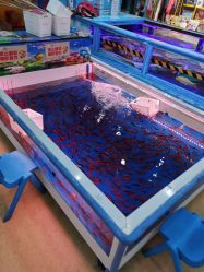 -孩子王童乐园(合肥瑶海万达店)