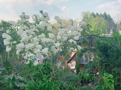 -三圣花乡旅游区