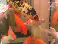 -金榜口腔连锁(福璟店)