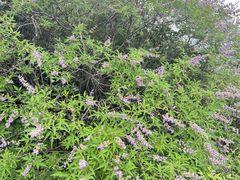 -山西乌金山旅游区