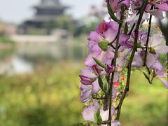 -海珠湖公园