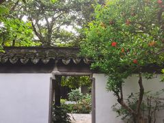 -秋霞圃