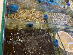 -木木鲜海鲜面(天一店)