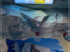 -上海海昌海洋公园-冰山北极馆