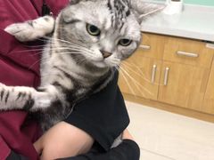 -美联众合动物医院·24h京西诊疗中心