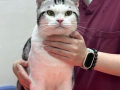 -瑞鹏·疫苗·绝育·宠物医院(金沙洲店)