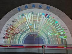 -安徽省地质博物馆