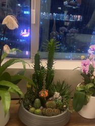 -栖SPA·ONDA ·海菲秀·皑皑科技美肤中心