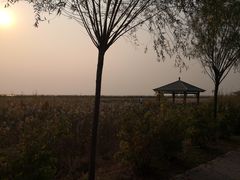 -呼兰河口湿地公园