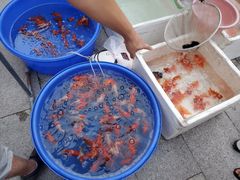 -华声天桥民俗文化园