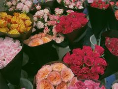 -双季花艺园艺市场(浦东店)