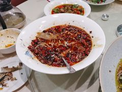 -金熊猫川菜餐厅