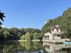 -金花茶公园