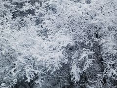 -达瓦更扎