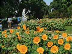 -玄武湖景区-情侣园游乐场