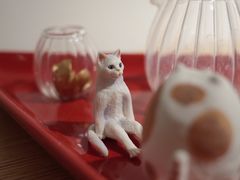 -猫里有甜