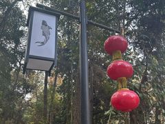 -铁山坪森林公园