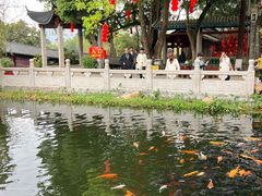-国恩寺