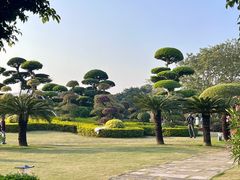 -南宁南湖公园