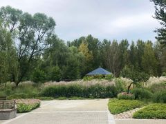 -野鸭湖国家湿地公园