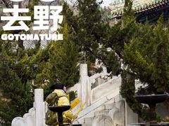 -潭柘寺景区