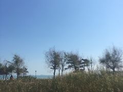-青岛海泉湾度假区温泉