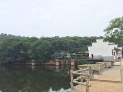 -巢湖姥山岛
