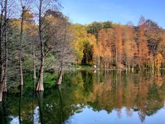 景点-广州市白云山风景名胜区
